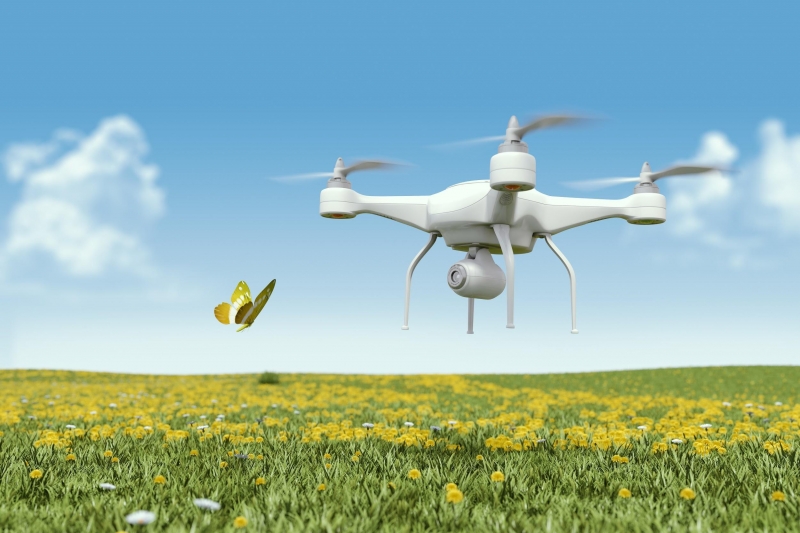 Scientists hope to be able to get drones to help pollinate crops 