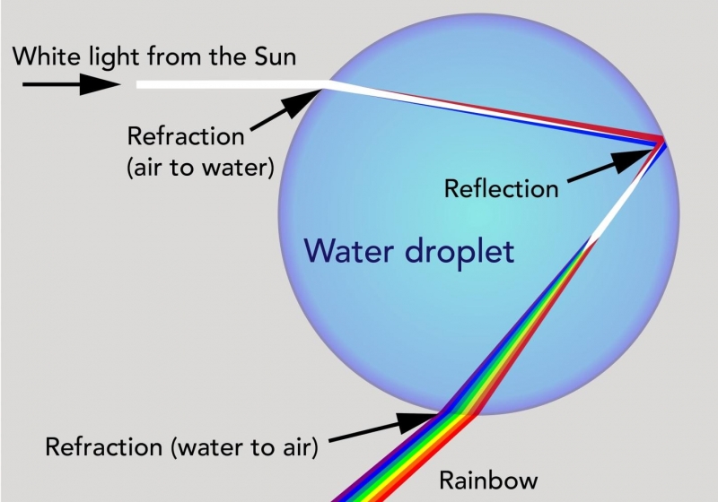 This diagram shows how light is refracted and reflected as it enters and travels through a drop of water 