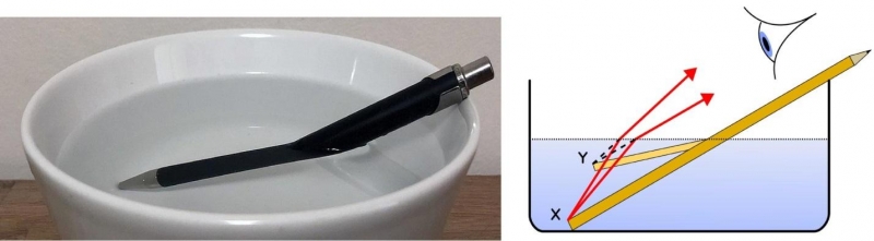 A pencil or pen in a dish of water appears to be bent because of refraction 
