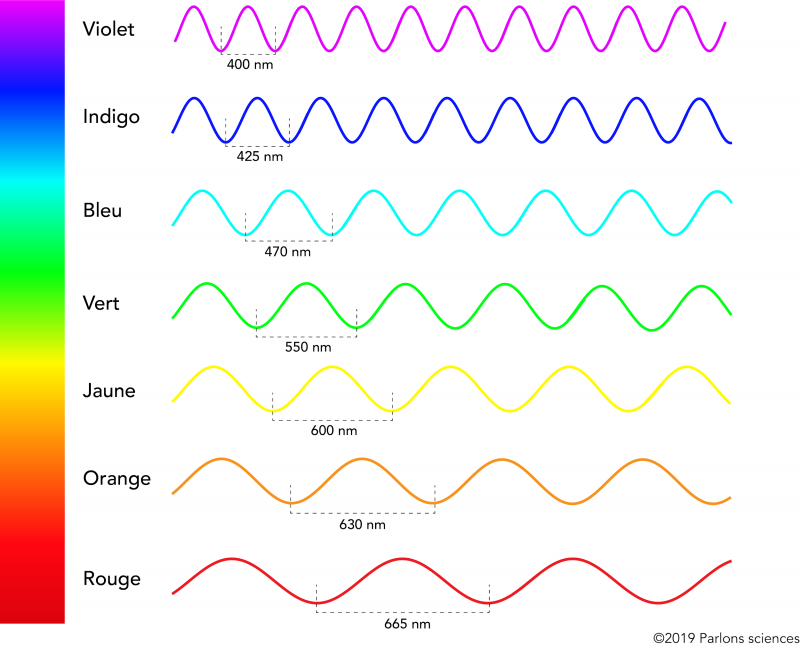 The visible spectrum showing the wavelengths of each of the component colours. The spectrum ranges from dark red at 700 nm to violet at 400 nm 