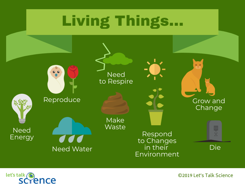Characteristics and needs of living things