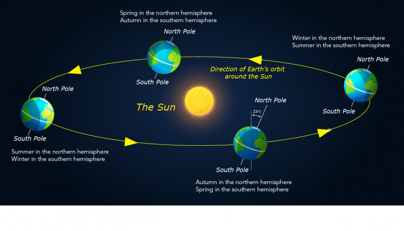 The movement of the Earth around the Sun, showing which part of the Earth is tilted toward the Sun in different seasons 