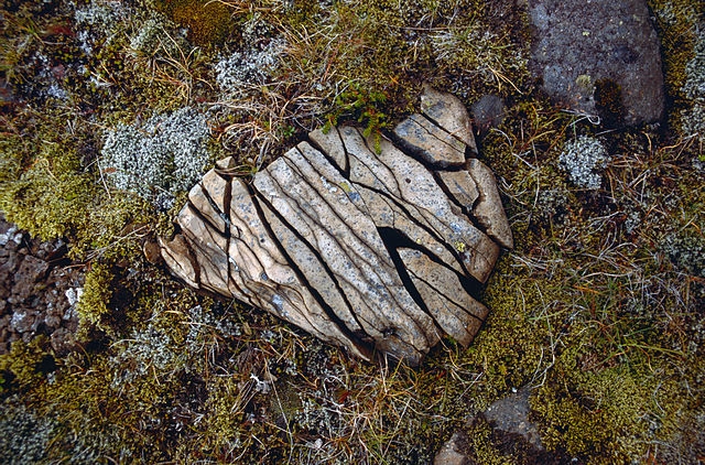 Rock split by frost weathering