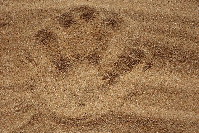 Sand with handprint