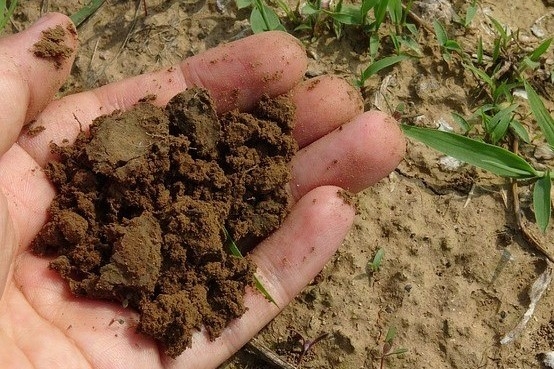 Soil after being squeezed