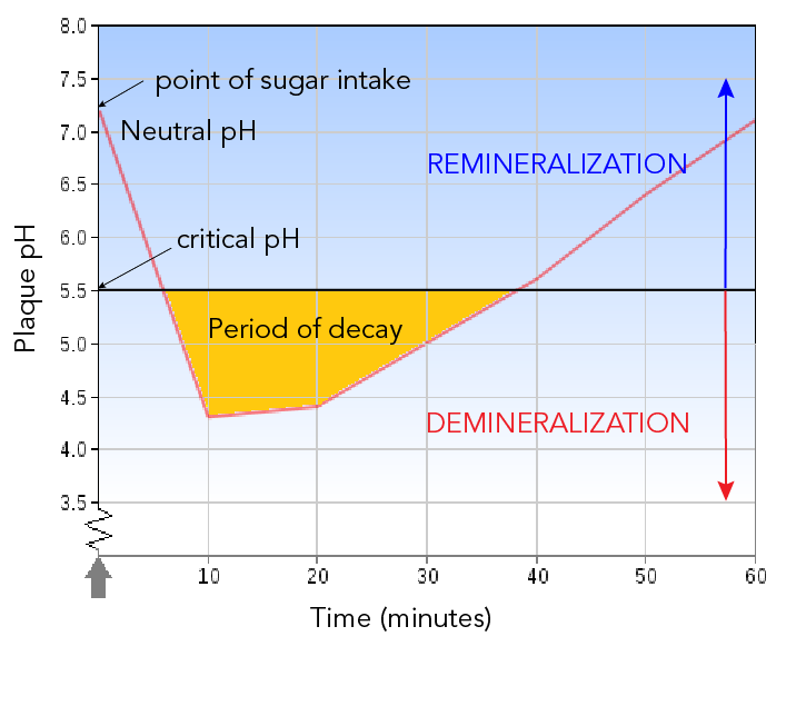 Graph showing how plaque pH changes after eating