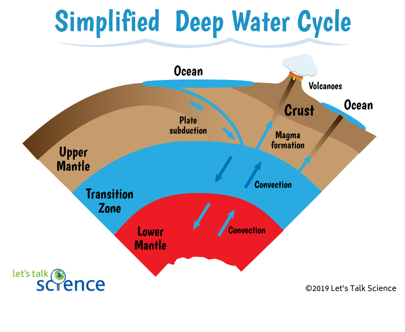 Simplified deep water cycle showing how water moves in the mantle and crust