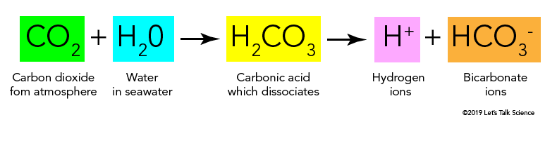 Chemical reaction of carbonic acid and water