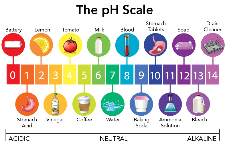 pH scale with examples 
