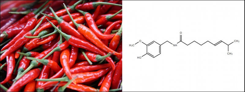 Hot peppers and chemical formula of capsaicin 