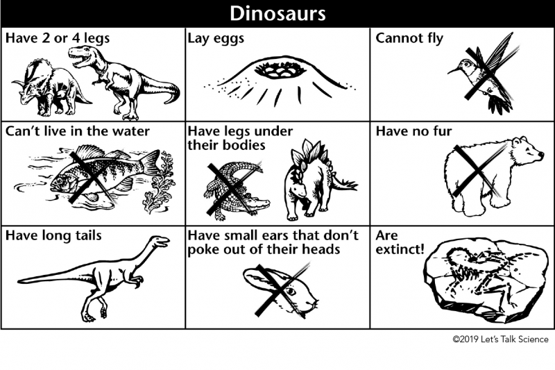 Dinosaur sorting chart