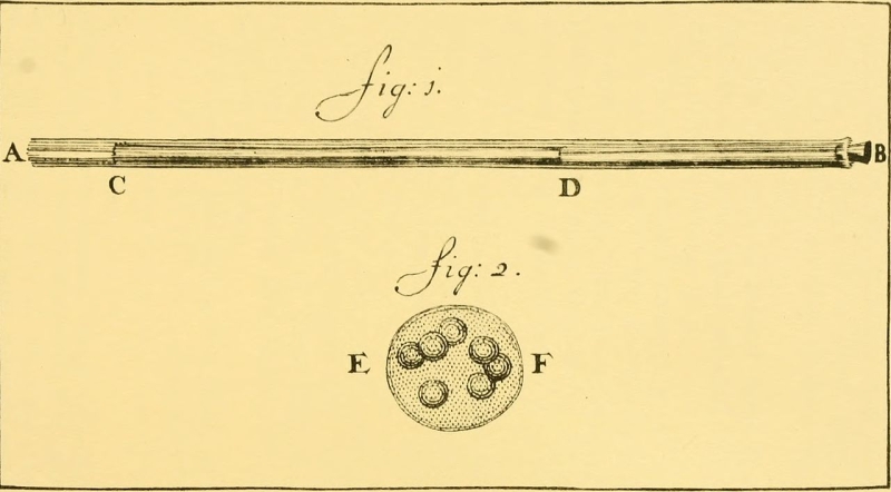 Two drawings by van Leeuwenhoek of what he called animacules 