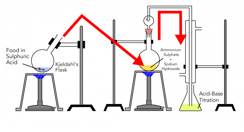 Materials and set up of equipment for the Kjeldahl method