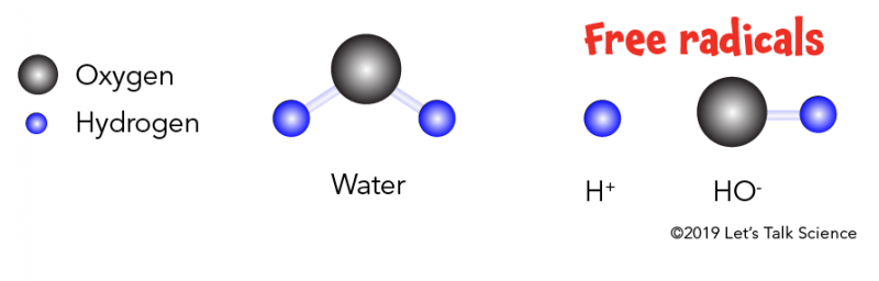 Ball and stick diagrams of water, hydrogen ions and hydroxyl ions