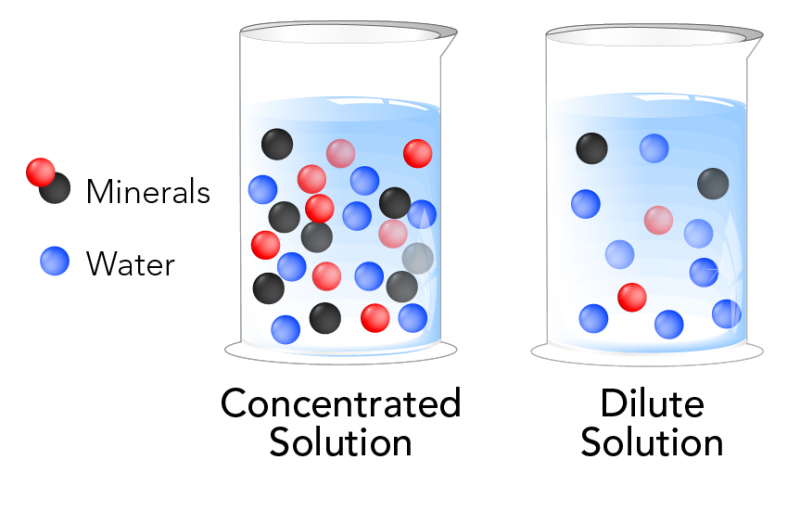 A concentrated solution on the left and a dilute solution on the right
