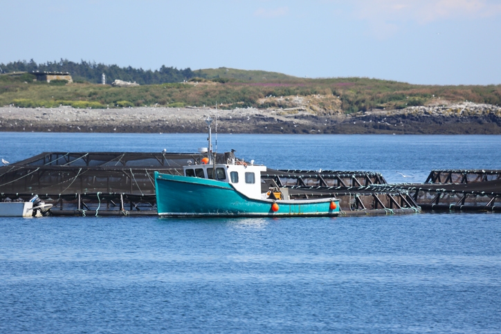 Net pens at a salmon farm near Briar Island, Nova Scotia 
