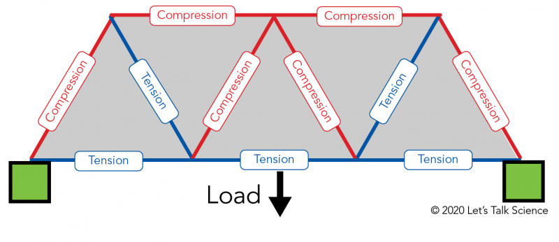 Tension and compression on a truss bridge