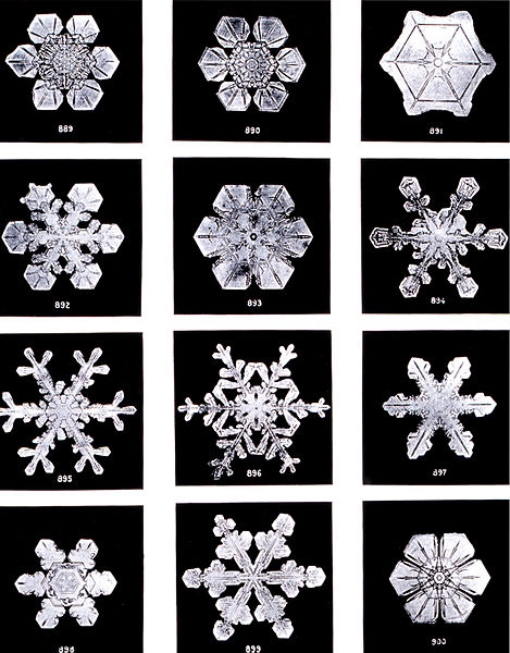 Photos of snowflakes/Le photographe Wilson Alwyn Bentley