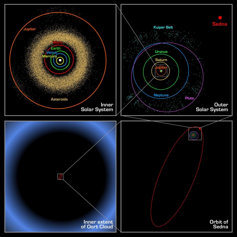 Image showing orbit of Sedna relative to orbits of planets