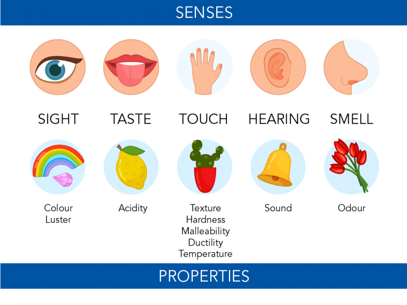 Illustration showing five senses and physical properties of matter