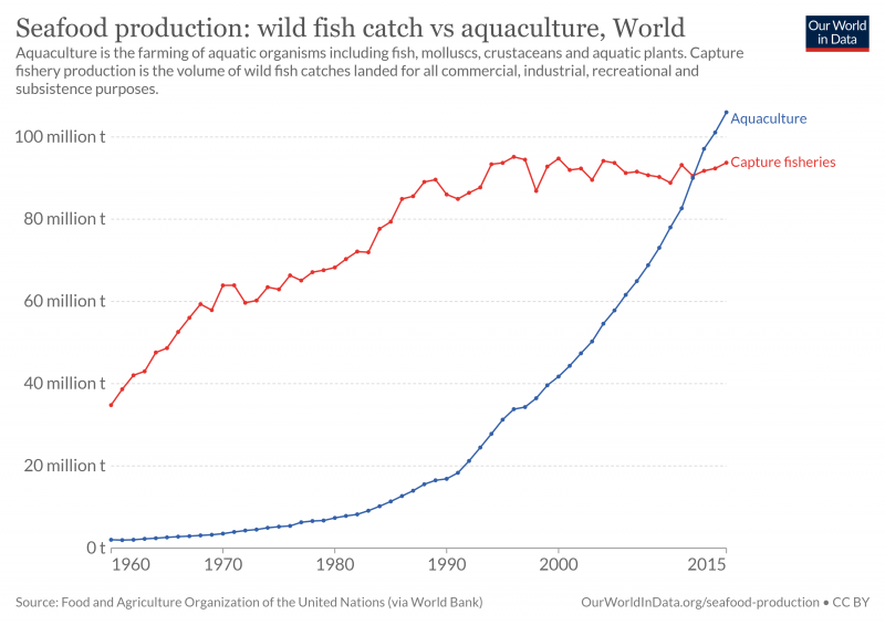 Seafood production wild fish capture vs. aquaculture