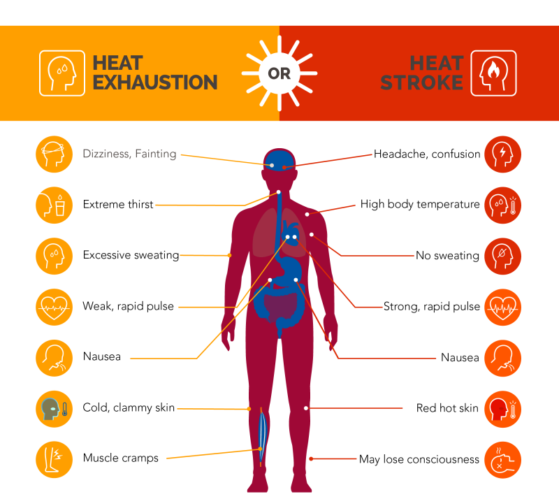 Infographic outlining the symptoms of heat exhaustion and heat stroke