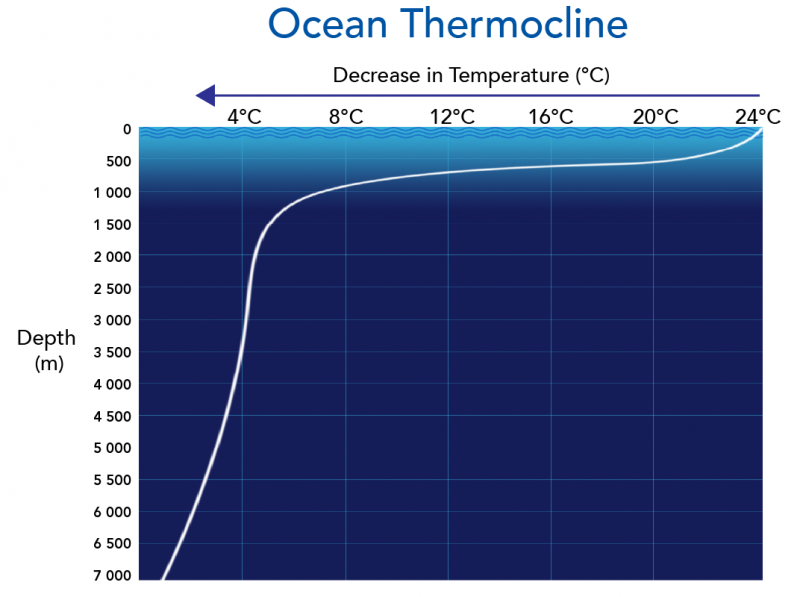 Average open ocean temperatures