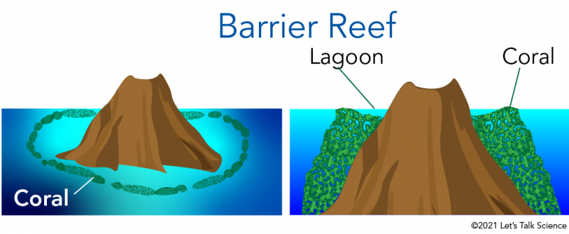 Barrier reef 