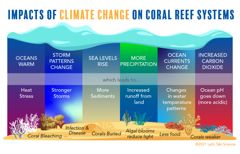 Impacts of climate change on coral reefs