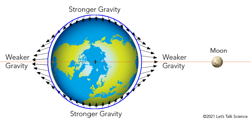 Earth’s gravitational field is affected by the Moon’s gravity