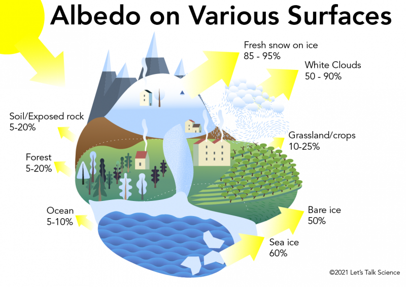 Albedo on various surfaces like oceans, forests and ice