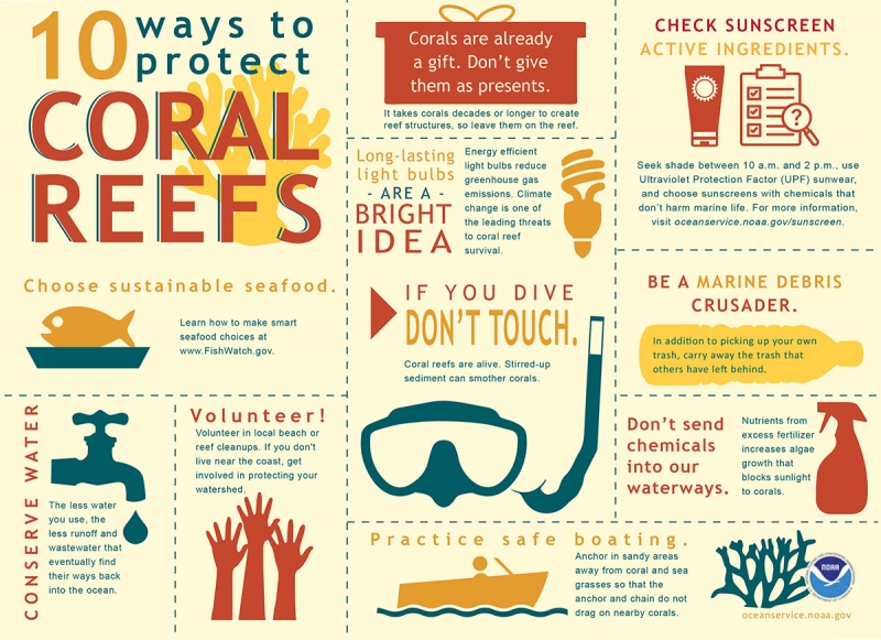 Ten ways to protect coral reefs