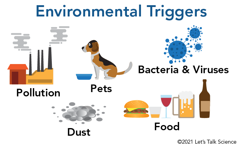 Environmental triggers of asthma 