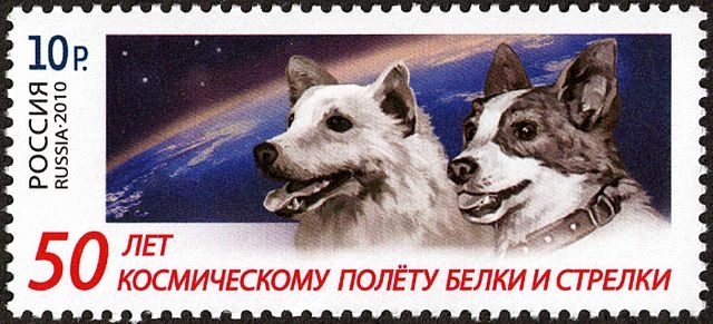 A Russian stamp celebrating the 50th anniversary of the space flight of Belka and Strelka