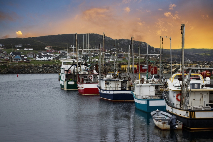 Fishing boats in Bonavista, Newfoundland