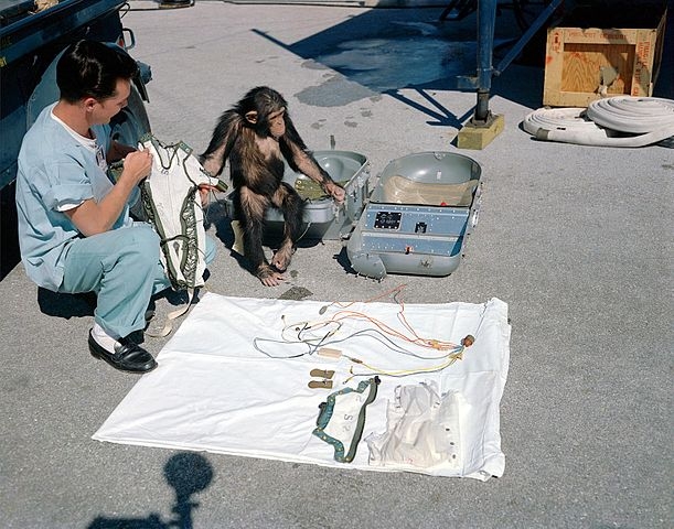 Ham the Chimp and flight equipment
