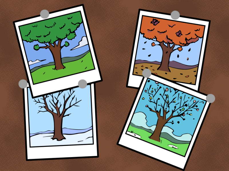 A tree in different seasons.