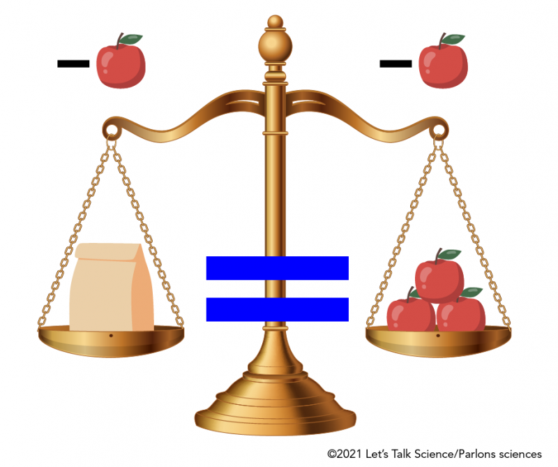 Scale with a bag and an apple on one side and 4 apples on the other side