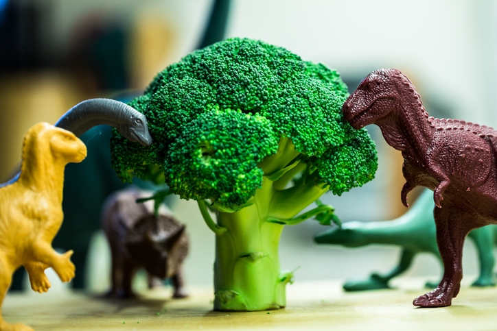 Toy dinosaurs with a broccoli floret