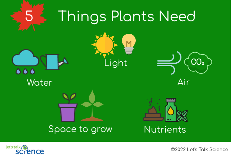 Most plants need light, water, air, nutrients and space to grow in order to survive 