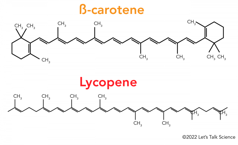 Chemical diagrams of betacarotene and licopene