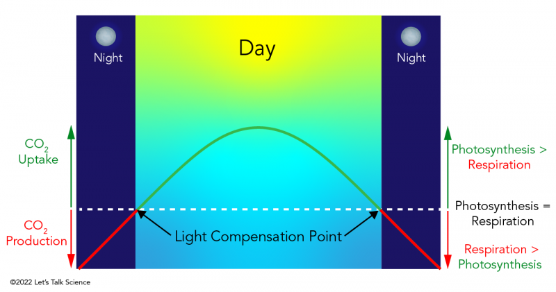 Photosynthesis, respiration and the light compensation point