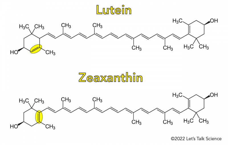 Chemical diagrams of Lutein and Zeaxanthin