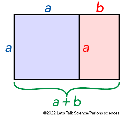 Diagram of a golden rectangle