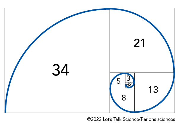 Fibonacci sequence forming a spiral