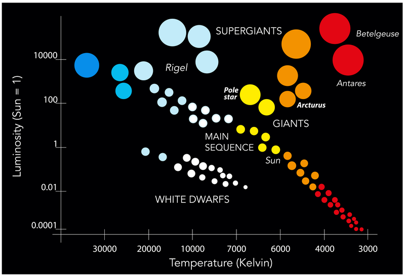 Shown is a graph with colour illustrations of stars plotted at their temperature and luminosity.