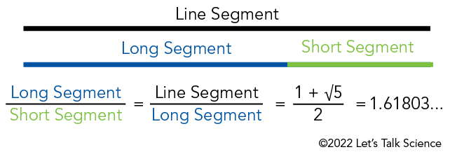 Shown is a colour illustration of line segments and a mathematical equation.