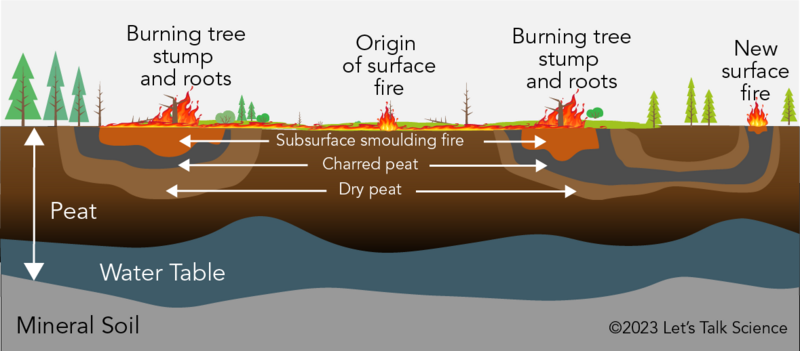 Shown is a colour illustration of the ground underneath several peat fires.