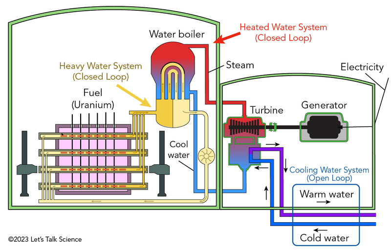Shown is a colour diagram illustrating how fuel, water and steam move through a nuclear reactor.