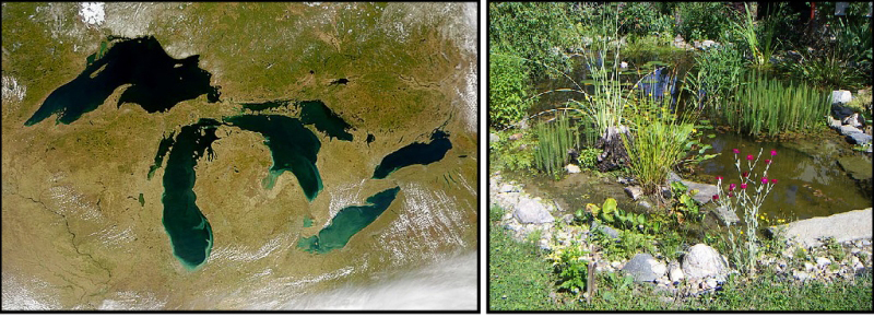 Shown are two colour photographs, one of the Great Lakes from the air, and one of a small pond surrounded by stones and plants. 